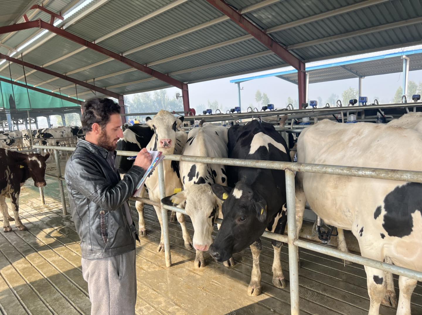 Dairy farm manager